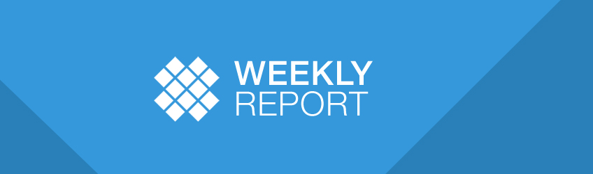 Weekly Report